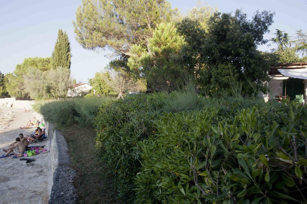 Holiday Home Dajla 35 Novigrad  Zewnętrze zdjęcie